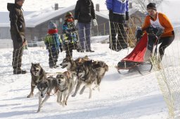 Lenk 2012 SM